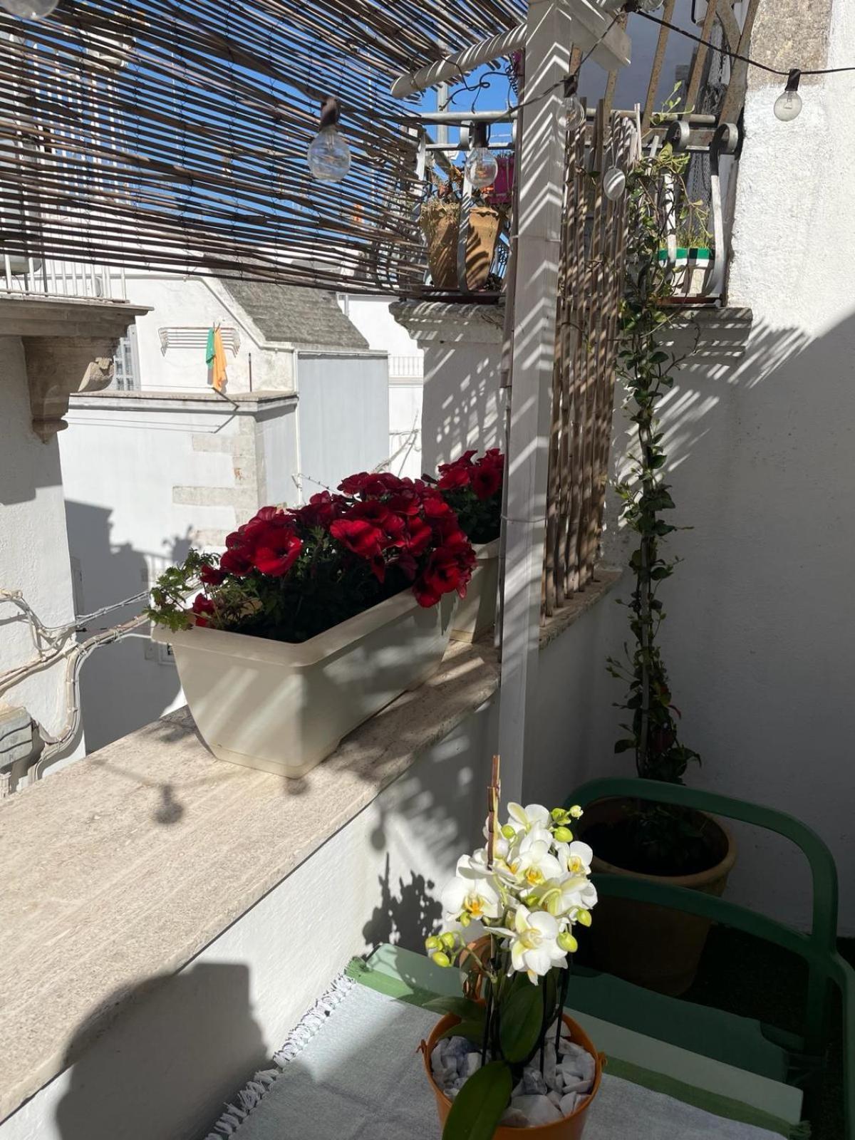 Casa Del Riccio Nel Centro Storico Lägenhet Martina Franca Exteriör bild